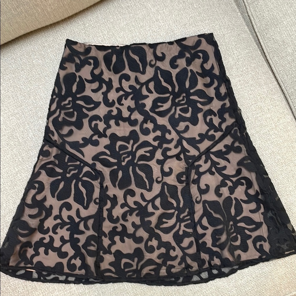 Ladies sheer skirt with lining. Size 0. Ann Taylor